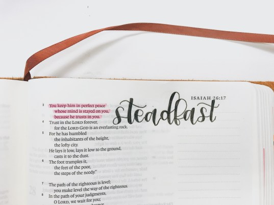 Processed with VSCO with a6 preset